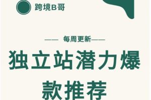 【跨境B哥】独立站潜力爆款选品推荐，测款出单率高达百分之80（每周更新）