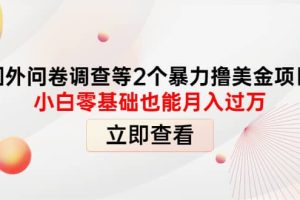 国外问卷调查等2个暴力撸美元项目，小白零基础也能月入过万