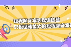 短视频文案实训操练营，只说话就能火的短视频文案课