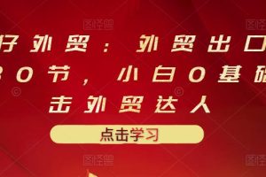 业仔外贸：外贸出口详解30节，小白0基础进击外贸达人 价值666元