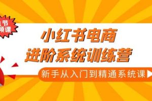 小红书电商进阶系统训练营：新手从入门到精通系统课（21节视频课）