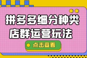 拼多多细分种类店群运营玩法3.0，11月最新玩法，小白也可以操作