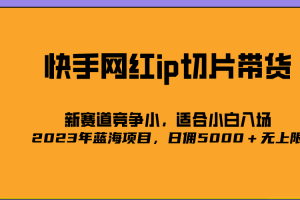 2023爆火的快手网红IP切片，号称日佣4900＋的蓝海项目，二驴的独家授权