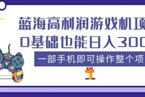 蓝海高利润游戏机项目，0基础也能日入300 。一部手机即可操作整个项目