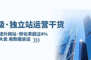 独立站运营干货：全面提升网站·转化率超过4%，轻松大卖 用数据说话