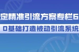 制定精准引流方案专栏6.0，0基础打造被动引流系统