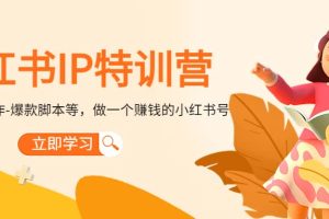 小红书IP特训营