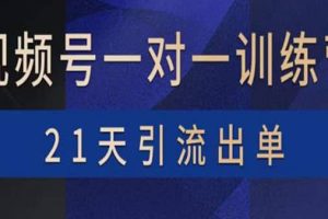 视频号训练营：带货，涨粉，直播，游戏，四大变现新方向，21天引流出单