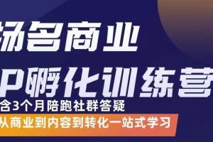 杨名商业IP孵化训练营，从商业到内容到转化一站式学 价值5980元