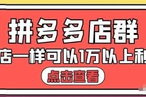 拼多多店群单店一样可以产出1万5以上利润【付费文章】