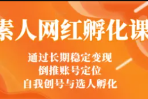 马大个素人网红孵化课：通过长期稳定变现，倒推账号定位，自我创号与选人孵化