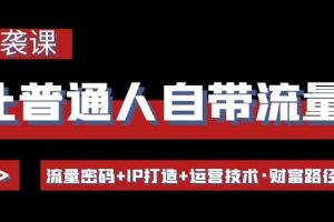 让普通人自带流量的逆袭课：流量密码 IP打造 运营技术·财富路径