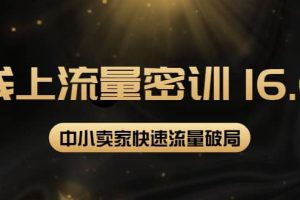 2022秋秋线上流量密训16.0：包含 暴力引流10W 中小卖家流量破局技巧 等等！