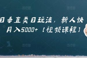 虚拟项目垂直类目玩法，新人快速起店，月入5000 【视频课程】