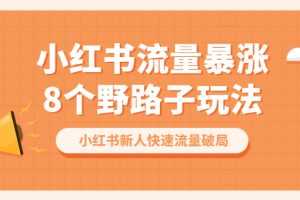 （6476期）小红书流量-暴涨8个野路子玩法：小红书新人快速流量破局（8节课）