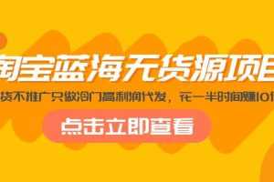 （5062期）淘宝蓝海无货源项目，不囤货不推广只做冷门高利润代发，花一半时间赚10倍钱