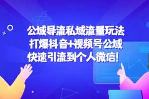 （4416期）公域导流私域流量玩法：打爆抖音+视频号公域，快速引流到个人微信！