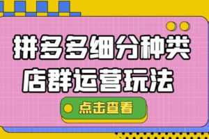 （4373期）拼多多细分种类店群运营玩法3.0，11月最新玩法，小白也可以操作
