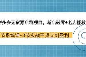 （3163期）拼多多无货源店群项目，新店破零+老店拯救 12节系统课+3节实战干货立刻盈利