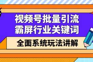 (2416期)视频号批量引流,霸屏行业关键词(基础班)全面系统玩法讲解【无水印】