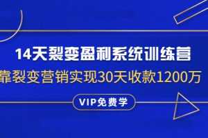 （1317期）14天裂变盈利系统训练营：靠裂变营销实现30天收款1200万（无水印）