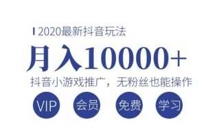 （1075期）2020最新抖音玩法：抖音小游戏推广，无粉丝也能操作，月入10000+