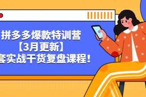 （5263期）拼多多爆款特训营【3月更新】，全套实战干货​复盘课程！