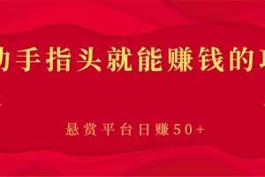 （2863期）新手小项目：动动手指头就能赚钱的项目，悬赏平台日赚50+