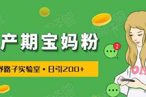 （1725期）日引200+预产期宝妈，从预产期到K12教育持续转化…操作方法简单