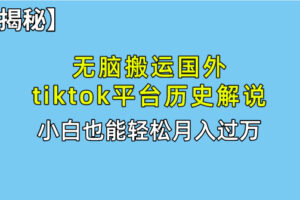 （10326期）无脑搬运国外tiktok历史解说 无需剪辑，简单操作，轻松实现月入过万