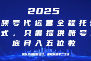 （14225期）25年视频号全程代运营模式，只需提供账号，团队全程赋能，稳定月入5位数