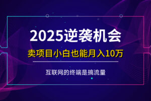 （14122期）项目标题：2025逆袭机会，卖项目小白也能轻松月入10万+