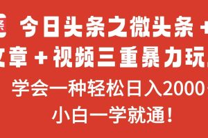 （16556期）今日头条之微头条＋文章＋视频三重暴力玩法，学会一种轻松日入2000＋，…