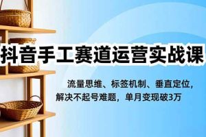 (16667期)抖音手工赛道运营实战课,流量思维、标签机制、垂直定位,解决不起号难题,单月变现破3万