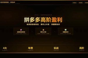 （17848期）拼多多高阶盈利年费会员(更新3月31)：全类目活动玩法、原价上大促、洗图防比价等核心盈利技术