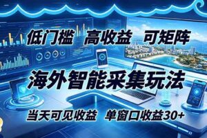 (18955期)海外智能采集玩法,低门槛高单价可矩阵,当天可见收益,单窗口30+