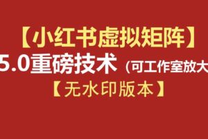 (19548期)76节小红书虚拟矩阵5.0-无水印版本:AI原创虚拟品+4带1自动化AI发笔记+测款怼款双模式(可工作室放大)