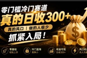 (19575期)零成本冷门赛道,真的日300+真风口,做得人极少!赶紧入局,超级简单!