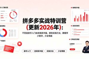 (19724期)拼多多实战特训营(更新2026年):不管是新手入门或老商家冲量,都有实操方法,跟着学,少走弯路