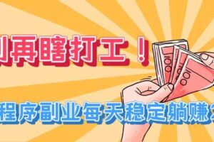 (19736期)别再瞎打工!小程序副业每天稳定躺赚200+