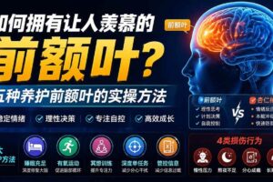 (19805期)付费文章:如何拥有让人羡慕的前额叶?五种养护前额叶的实操方法